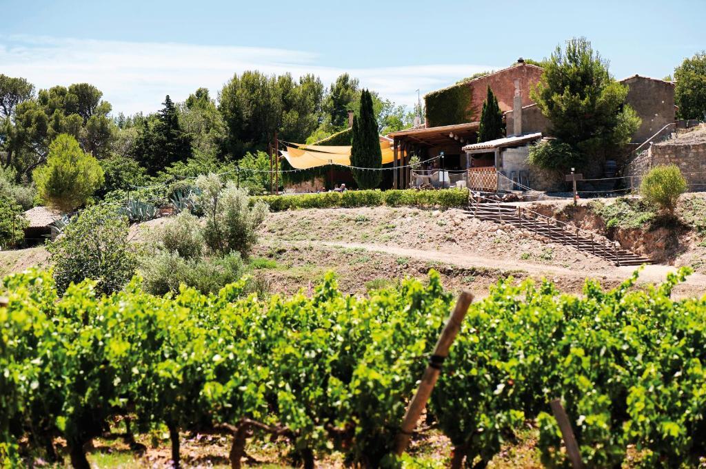 Chateau Le Bouis Gruissan Exterior photo